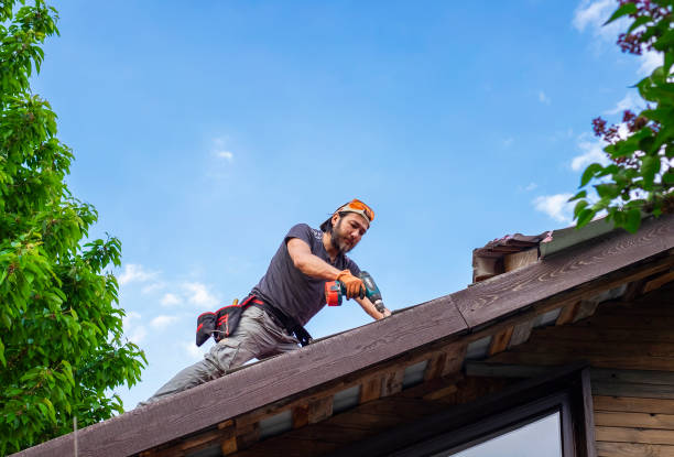 Best Storm Damage Roof Repair  in Canfield, OH