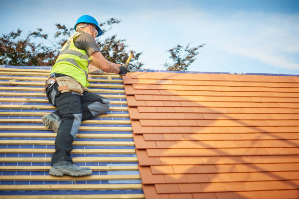 Best Metal Roofing Installation  in Canfield, OH